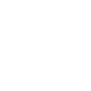 Maxus Logo